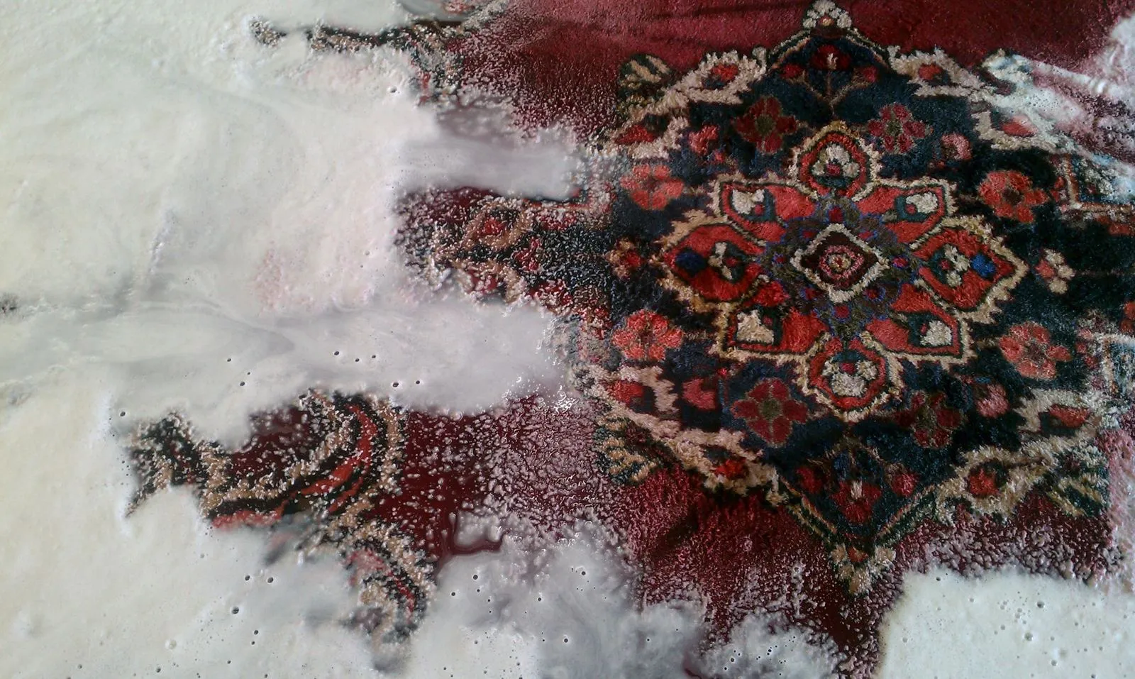 Oriental rug during its immersion wash at the Hollywood facility