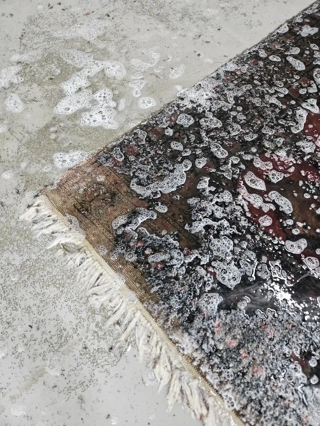 Heavily soiled and mildewed corner of a rug