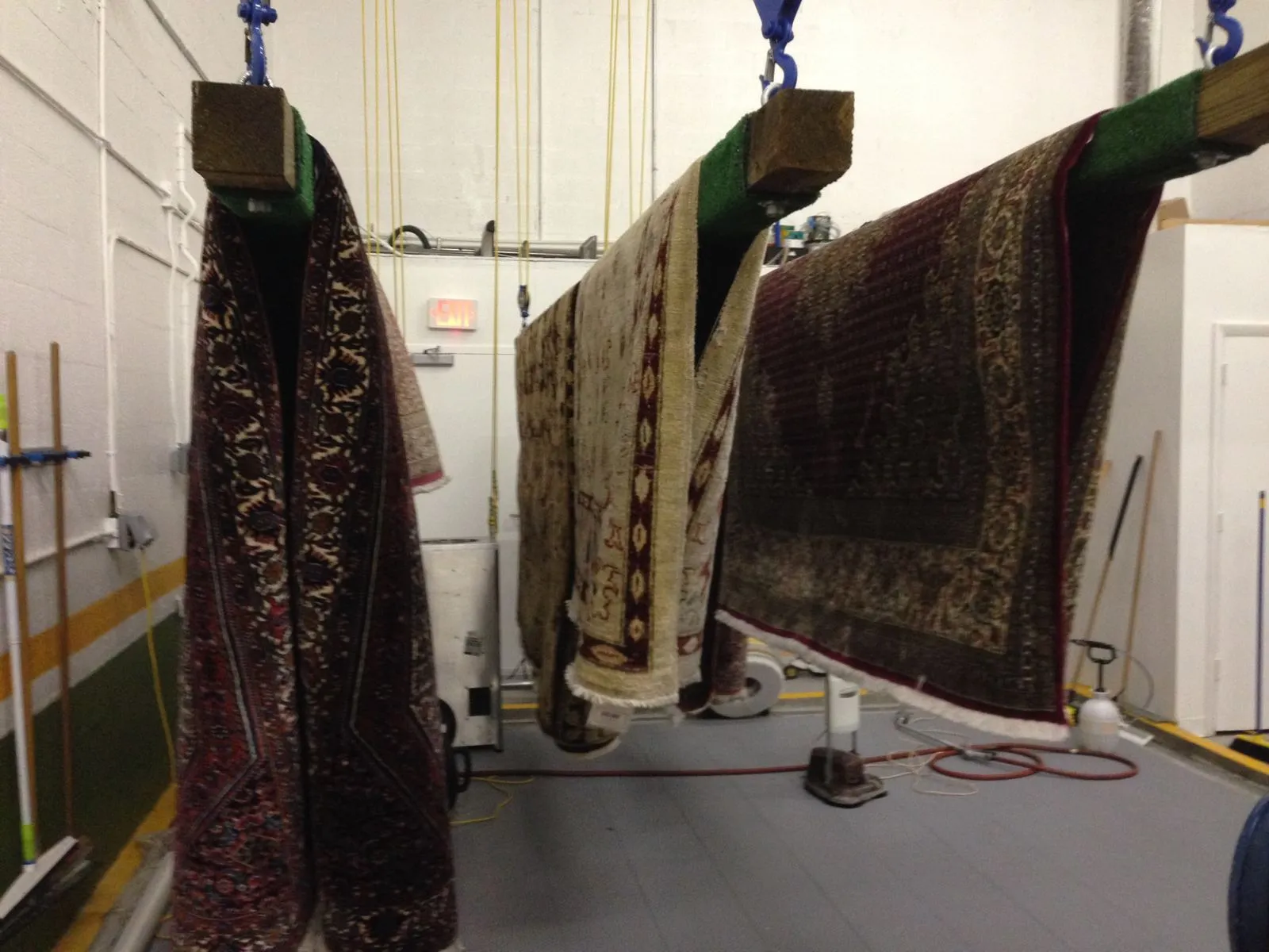 Rugs drying at the Hollywood facility